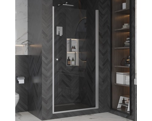 Душевая дверь в нишу Ambassador Elysium 111011109CX 80 см