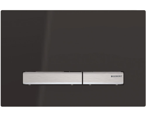Кнопка смыва Geberit Sigma 50 115.788.DW.2 черный