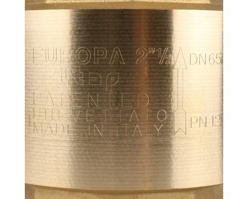 Клапан обратный пружинный муфтовый Itap EUROPA 100 2 1/2 с металлическим седлом (36348)