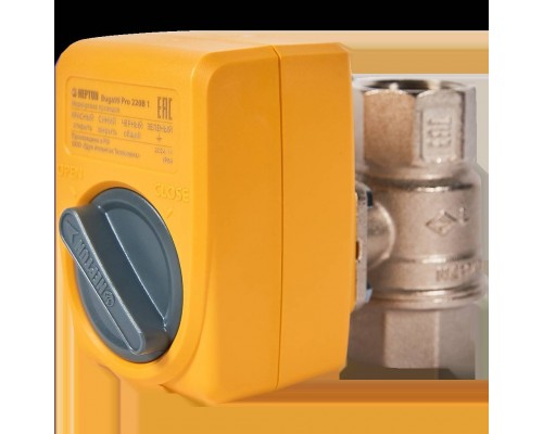 Кран с электроприводом Neptun Bugatti Pro 220В 1 (100035616600)