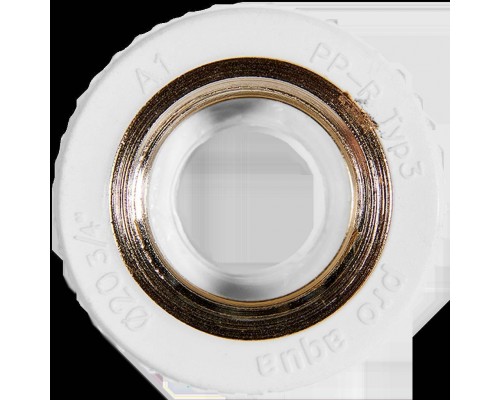 Муфта комбинированная Pro Aqua d= 20-3/4 PP-R ВР Белая (PA22010P) Муфта комбинированная Pro Aqua d= 20-3/4 PP-R ВР Белая (PA22010P)