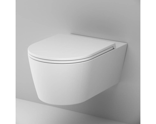 C8F1701MWSC Унитаз подвесной FlashClean с сиденьем микролифт, матовый C8F1701MWSC Унитаз подвесной FlashClean с сиденьем микролифт, матовый