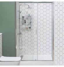 Душевая дверь в нишу Aquanet SD-1000A 100 см