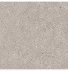 Керамогранит Kerama Marazzi Риккарди SG653720R 60x60 серый светлый матовый