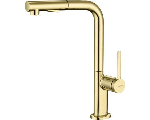 Смеситель для кухни Paulmark Neo Ne214419-G, золото