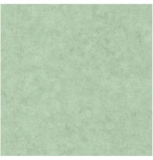Обои Caselio Beton 101487516