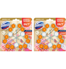 Набор Domestos Power 5 туалетный блок для унитаза, экзотический букет георгин и драгонфрут трио 3х50 г, 2 шт.