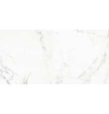 Керамогранит ABSOLUT GRES Carrara Classic 60x120 полированный