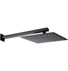 Верхний душ Allen Brau Infinity 5.21019-31 чёрный матовый