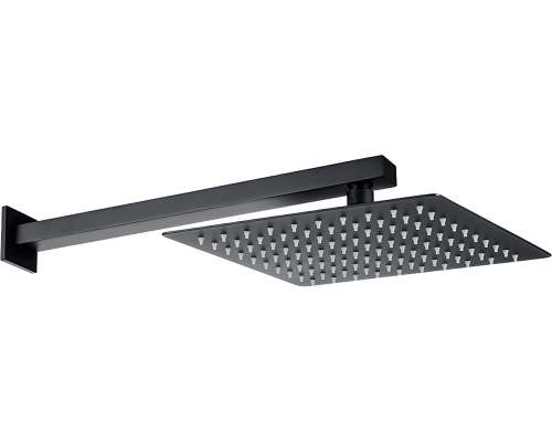 Верхний душ Allen Brau Infinity 5.21019-31 чёрный матовый