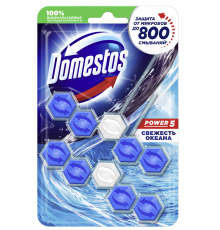 Туалетный блок для унитаза Domestos Power 5 свежесть океана дуо 2х55 г