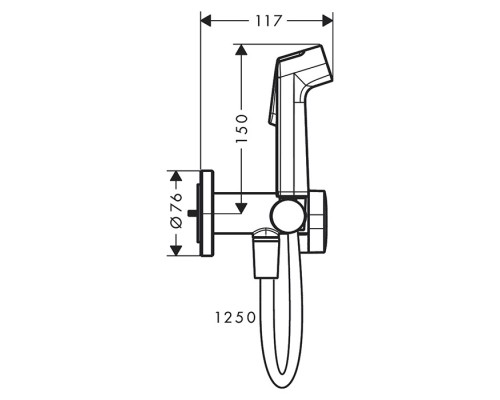 Hansgrohe Bidette E Гигиенический душ 1jet S EcoSmart+, со смесителем, с душевым держателем и шлангом 125 см, цвет: полированное золото. 29232990