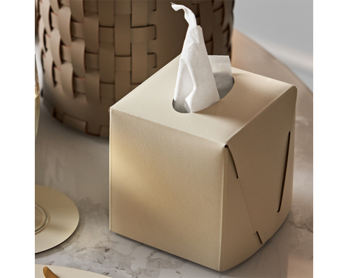 ADJ Салфетница Kleenex, 12x12xH12 см., цвет: панна котта/белый. 0015.16/10 ADJ Салфетница Kleenex, 12x12xH12 см., цвет: панна котта/белый. 0015.16/10
