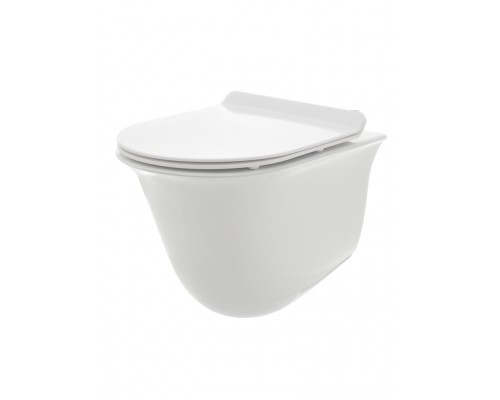 AQM2005 Унитаз подвесной с сиденьем SoftClose, технология смыва Rimless, скрытый крепеж. 485x360x360 AQM2005