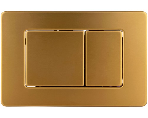 AQM4112BG Панель смыва AQUAme нерж сталь, золото шлифованное AQM4112BG