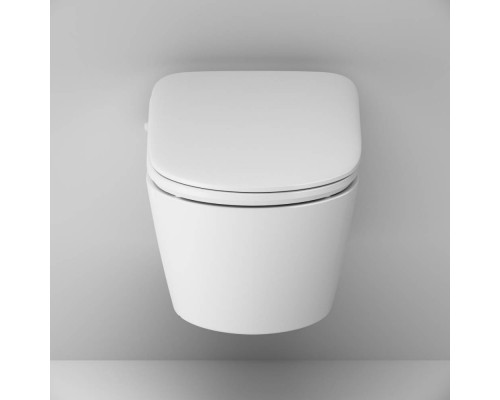 C8F1702SC Унитаз подвесной FlashClean c электронной крышкой-биде со скрытой подводкой C8F1702SC Унитаз подвесной FlashClean c электронной крышкой-биде со скрытой подводкой