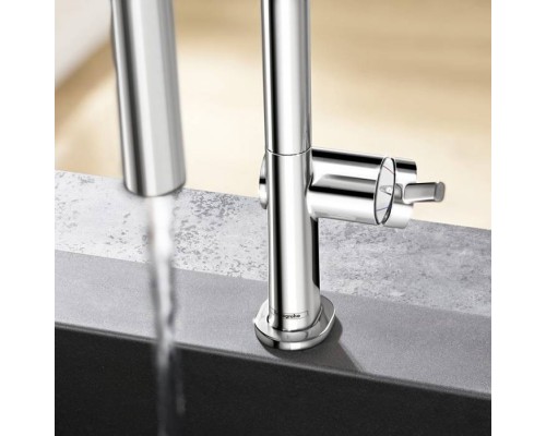 Hansgrohe Talis M54 Смеситель для кухни, 1 отв., цвет: хром. 72806000 Hansgrohe Talis M54 Смеситель для кухни, 1 отв., цвет: хром. 72806000