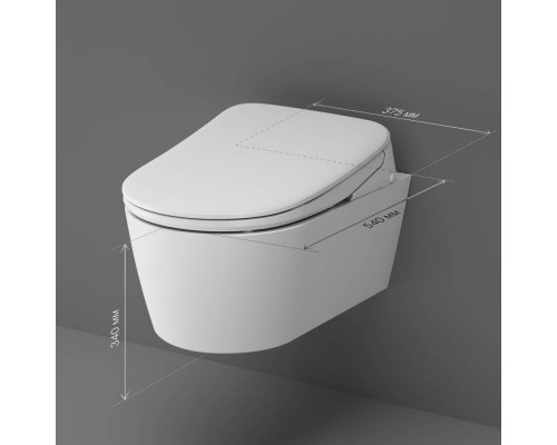 C8F1702SC Унитаз подвесной FlashClean c электронной крышкой-биде со скрытой подводкой C8F1702SC Унитаз подвесной FlashClean c электронной крышкой-биде со скрытой подводкой
