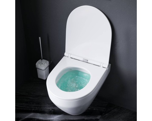 C701700WH Унитаз подвесной безободковый FlashClean, без сиденья C701700WH Унитаз подвесной безободковый FlashClean, без сиденья