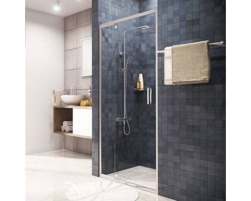 Душевая дверь в нишу Wasserkraft Berkel 48P13 110 см