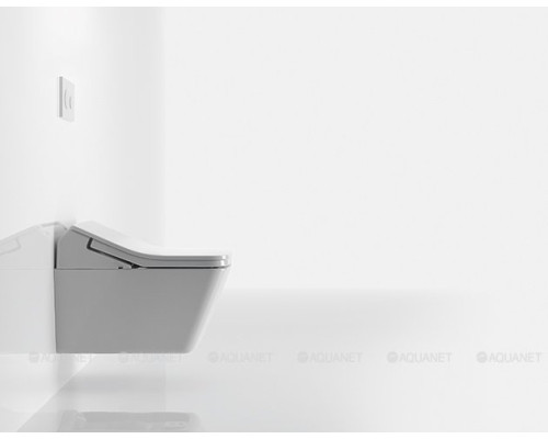 Унитаз подвесной Toto RX CW522EY