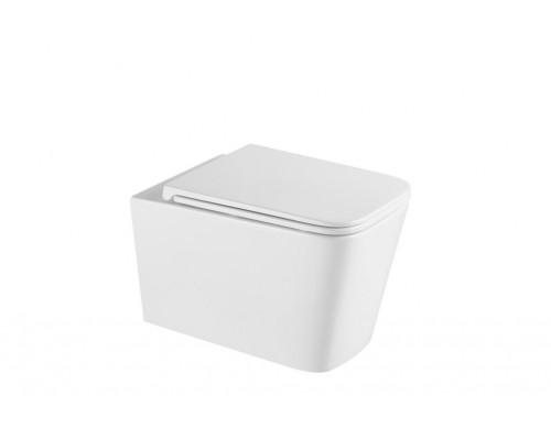 AQM2015PRO Унитаз подвесной сиденье SoftClose, технология смыва Invisible, скрыт крепеж. 530х365х380 AQM2015PRO