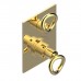 THG Collection O Смеситель для душа, встраиваемый, термостатический, цвет: Soft matt gold. G4P-F31-5300BE