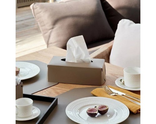 ADJ Салфетница Kleenex, 23x12xH7,5 см., цвет: капучино/шоколад. 0016.04/06 ADJ Салфетница Kleenex, 23x12xH7,5 см., цвет: капучино/шоколад. 0016.04/06