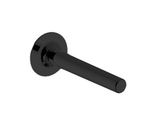 Cisal Vita Излив L=20cм, цвет: черный матовый. VI00024040