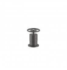 Fantini Fontane Bianche Управление на борт ванны, цвет: Matt Gun Metal PVD. 47 P5 P495