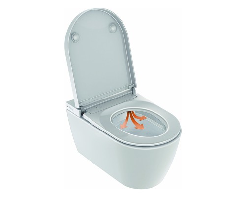 Duravit SensoWashreg; Starck f Plus New Крышка для унитза с пультом ду, для унитаза 2510092096, цвет: белый. 612000012012360