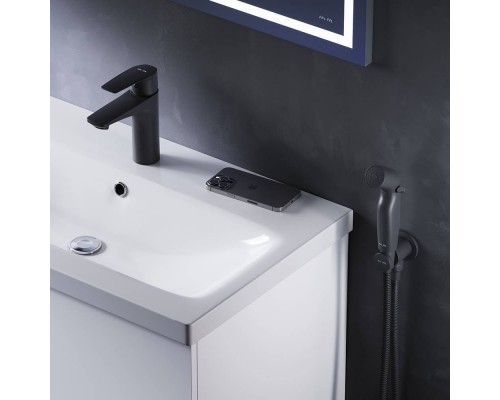 F90A03022 Смеситель для раковины с гигиеническим душем