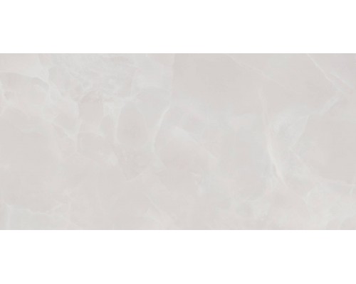 Плитка настенная Alma Ceramica Rivoli TWU09RVL007 глянцевая 24,9х50 серая