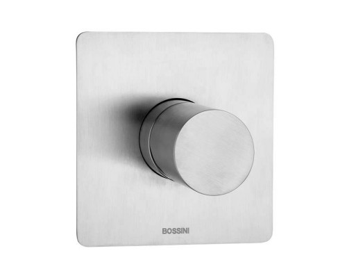 Bossini Inox Смеситель для душа на 1 выход, цвет: сталь брашированная. Z00007, INZ047.075 Bossini Inox Смеситель для душа на 1 выход, цвет: сталь брашированная. Z00007, INZ047.075