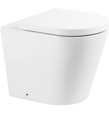 Унитаз приставной BelBagno Flay-r BB1003CBR безободковый, крышка BB105SC с микролифтом