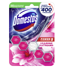 Туалетный блок для унитаза Domestos Power 5 ледяная магнолия 55 г