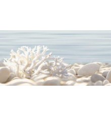 Декор Alma Ceramica Del Mare DWU09DLM624 24,9х50 глянцевый
