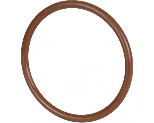 Уплотнительное кольцо ROMMER из FPM, 54 (RSS-0028-000054)