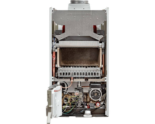 Газовый настенный котел Baxi ECO Four 1.24 F одноконтурный турбированный (CSE46524354-)