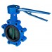 Затвор дисковый Danfoss VFY-LH Ду50 Ру16. 065B8410