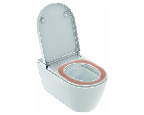 Duravit SensoWashreg; Starck f Plus New Крышка для унитза с пультом ду, для унитаза 2510092096, цвет: белый. 612000012012360