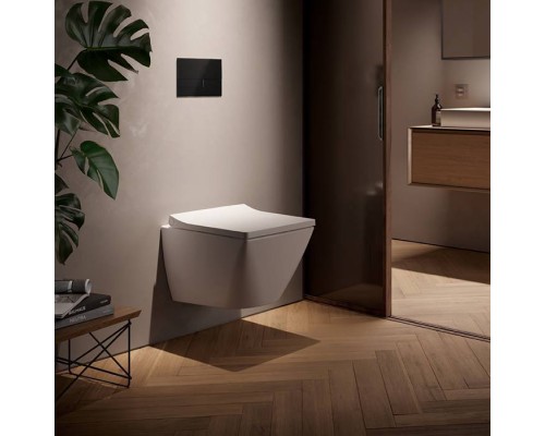 TECEspring Панель смыва для унитаза, акриловая, плоская, цвет: черный. S240851 TECEspring Панель смыва для унитаза, акриловая, плоская, цвет: черный. S240851