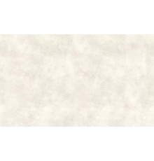 Обои Акцент Штукатурка 70445-56
