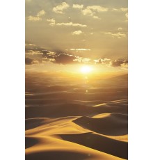 Обои Marburg Dune 32545