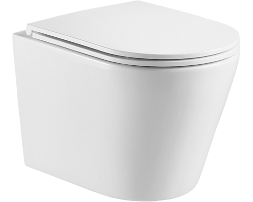 Унитаз подвесной Weltwasser WW SK Salzbach 043 GL-WT безободковый, с микролифтом, белый глянец