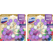 Набор Domestos Power 5 туалетный блок для унитаза, сказочный аромат гибискус и лесные ягоды трио 3х50 г, 2 шт.