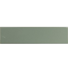 Плитка настенная DNA Match Sage Gloss глянцевая, ректифицированная 6,25х25