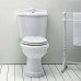 Azzurra Jubilaeum Унитаз моноблок 75x40xH88 см, слив в стену, с бачком, с механизмом, цвет: Bianco lucido/золото. JUVCMP000000BI/(JUB100/MBP bi), JUCSMB000000BI/(JUB400/MBL bi), B19002F/40 oro