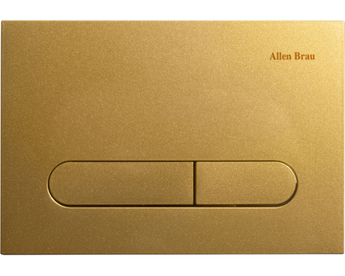 Кнопка смыва Allen Brau Project Color 9.2PR01.GD золотая