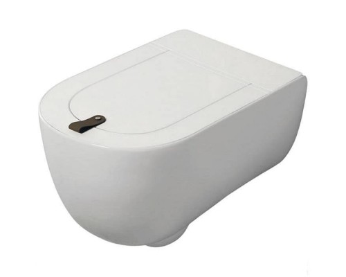 Artceram THE ONE Унитаз подвесной безободковый 52х35см, цвет: белый. THV001 01 00